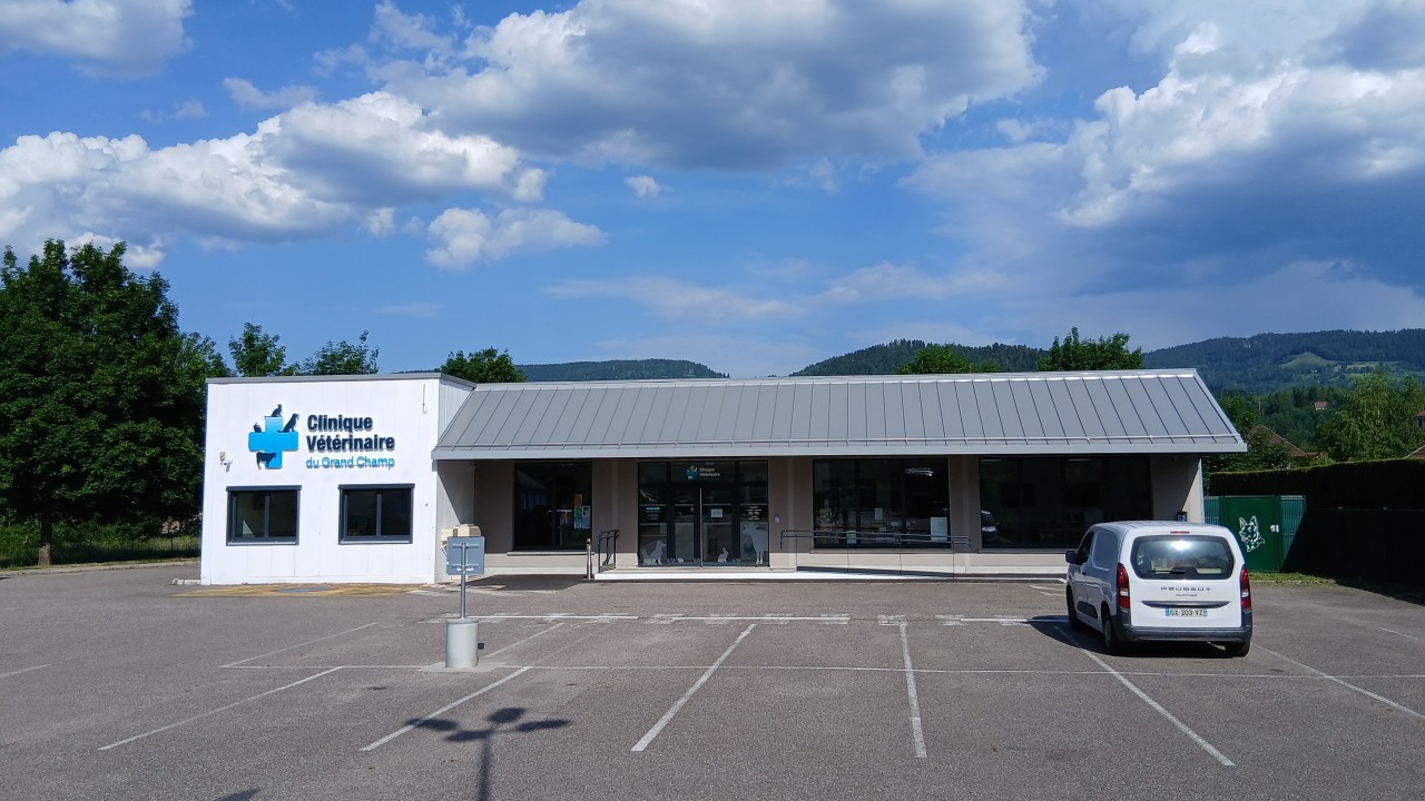Clinique vétérinaire du Grand Champ